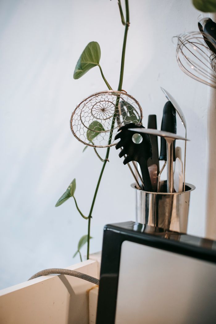 Collection of kitchenware in shiny metal glass near creeping plant and white wall in kitchen
